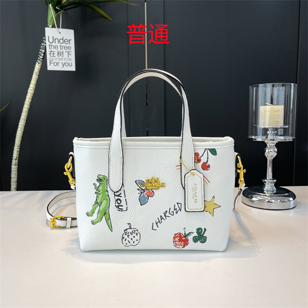 Coach small bag-0718