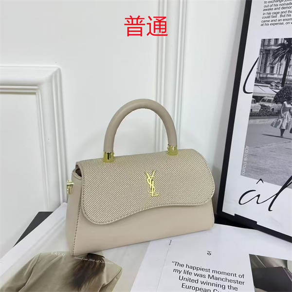 YSL small bag-0419