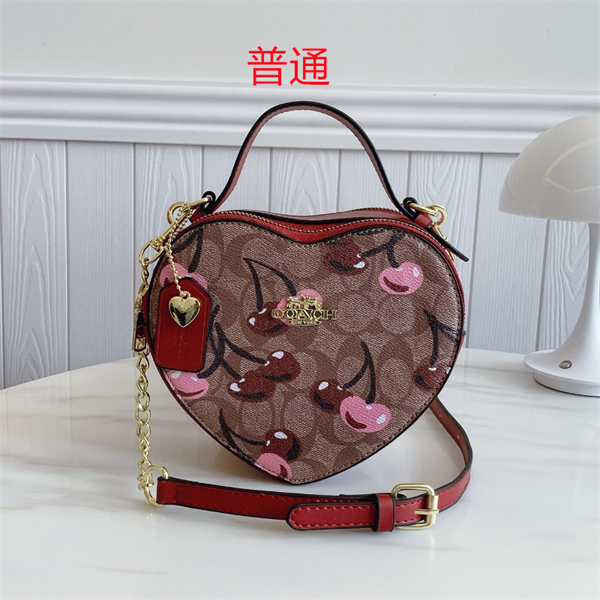 Coach small bag-0759