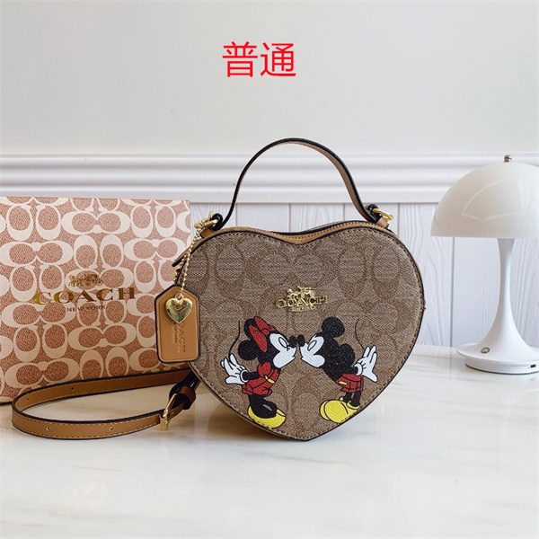 Coach small bag-0760