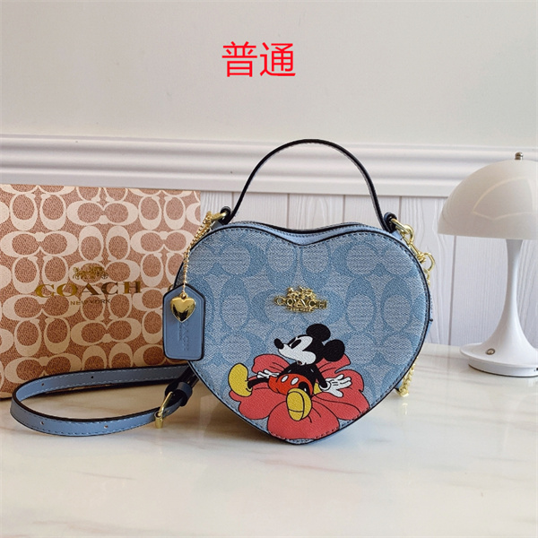 Coach small bag-0763