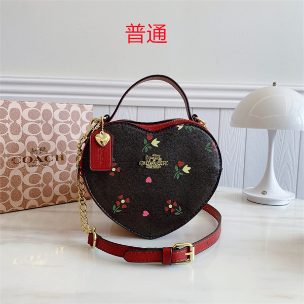 Coach small bag-0764