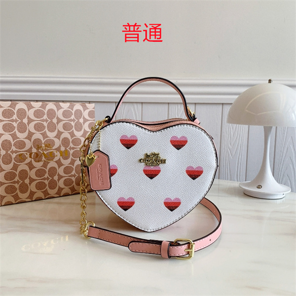 Coach small bag-0765