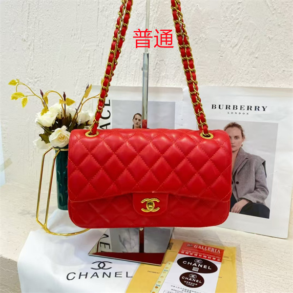 Chanel small bag-0433