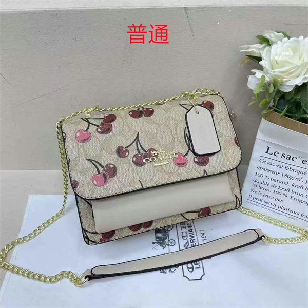 Coach small bag-0800