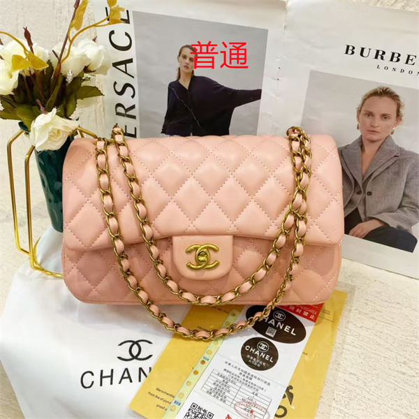 Chanel small bag-0436