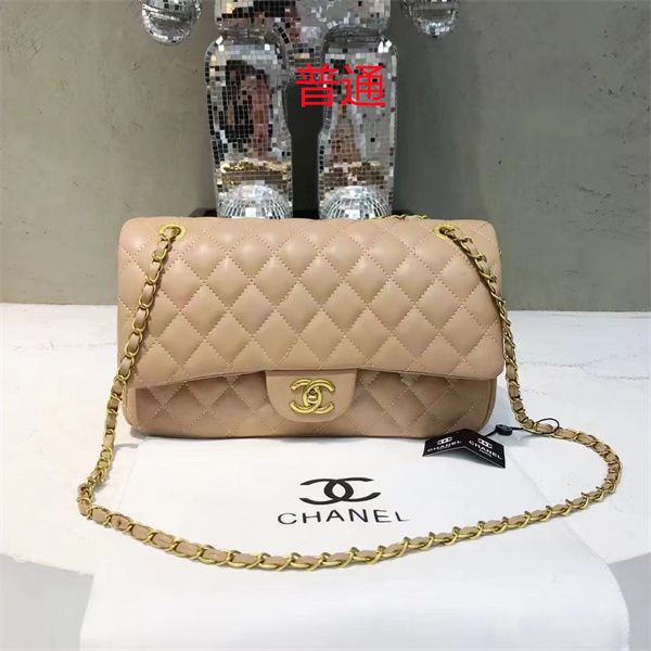 Chanel small bag-0440