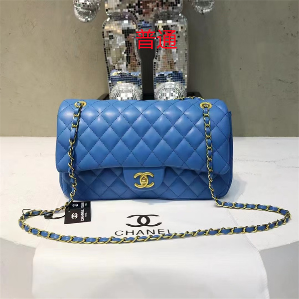 Chanel small bag-0443