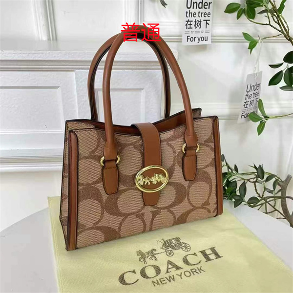 Coach small bag-0823