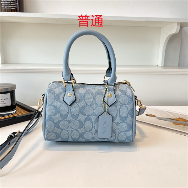 Coach small bag-0841