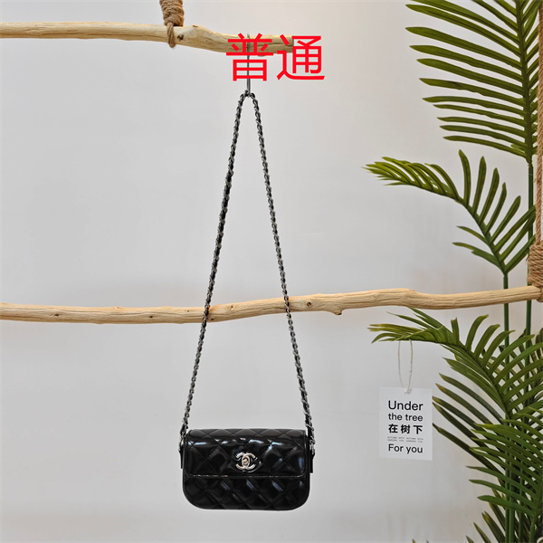 Chanel small bag-0477