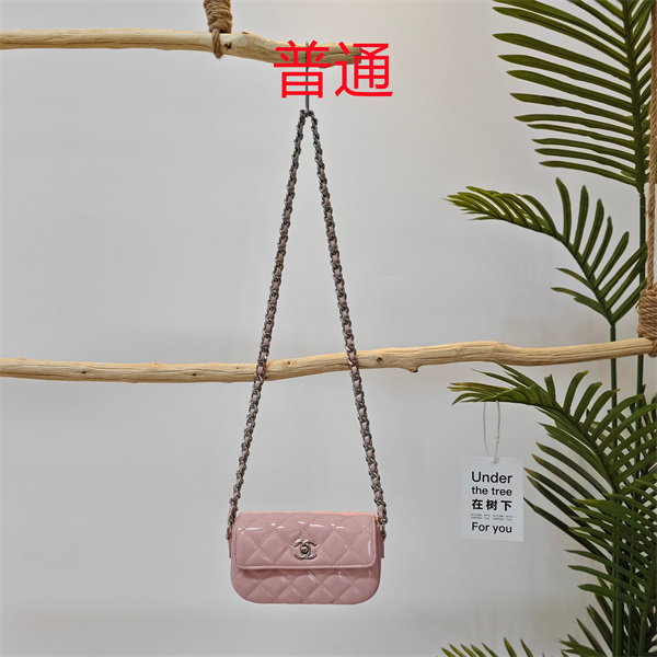 Chanel small bag-0478