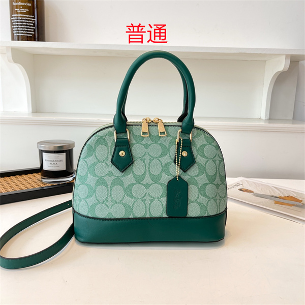 Coach small bag-0843