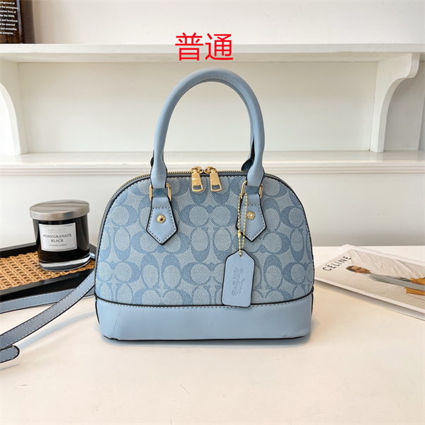 Coach small bag-0846