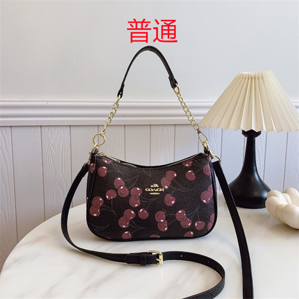 Coach small bag-0864