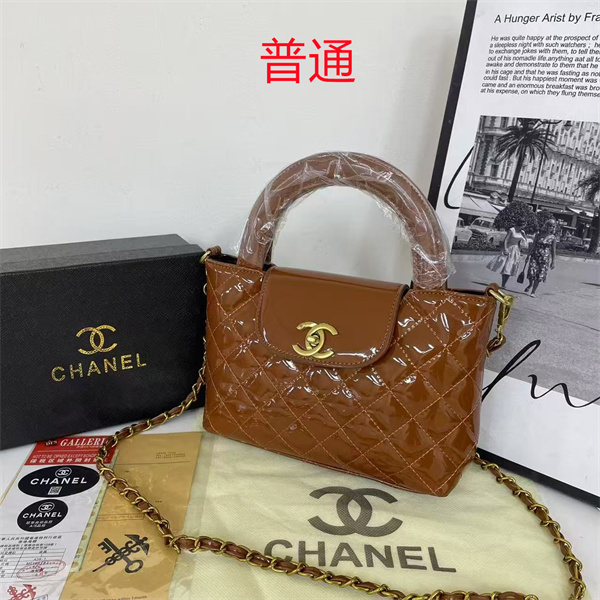 Chanel small bag-0495