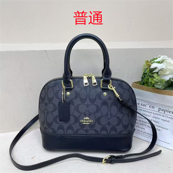 Coach small bag-0872