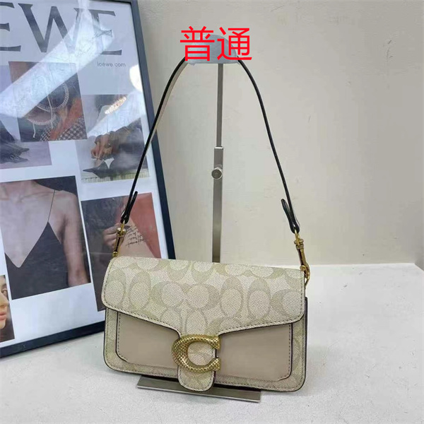 Coach small bag-0889