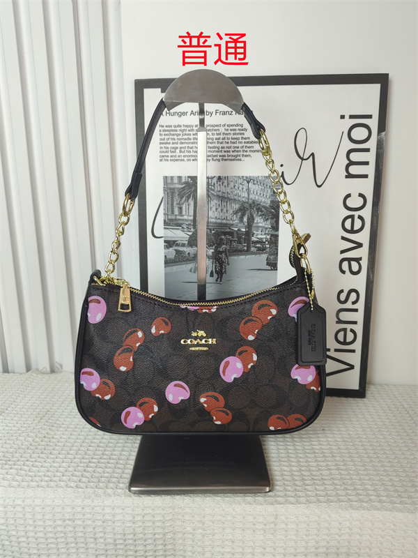 Coach small bag-0919