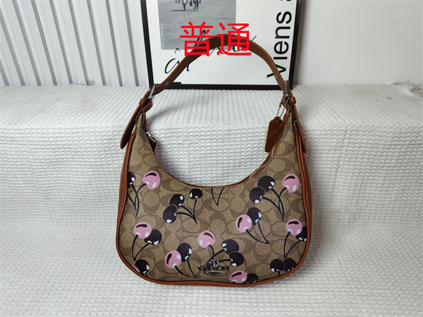 Coach small bag-0931