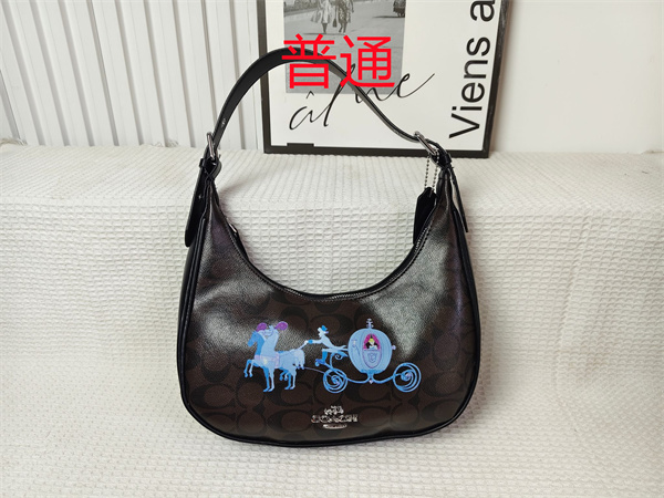 Coach small bag-0933