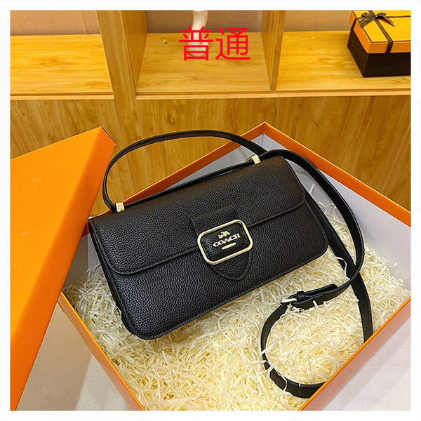 Coach small bag-0950