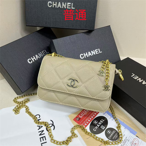 Chanel small bag-0583