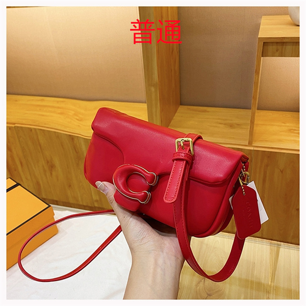 Coach small bag-0955