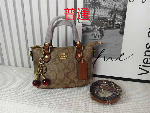 Coach small bag-0959