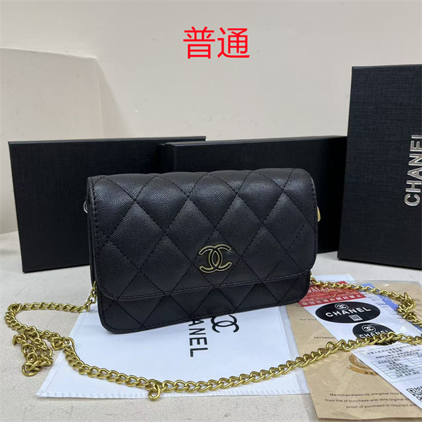 Chanel small bag-0594
