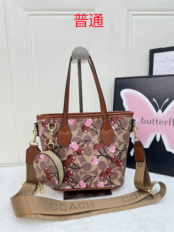 Coach small bag-0975