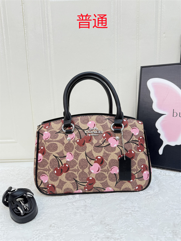 Coach small bag-0985