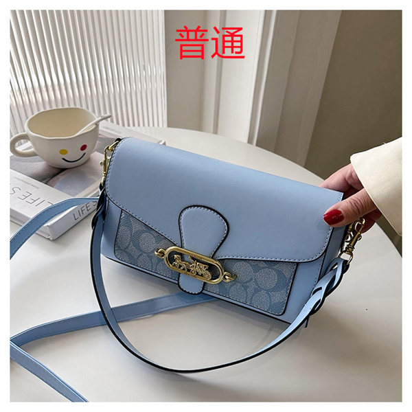 Coach small bag-1029