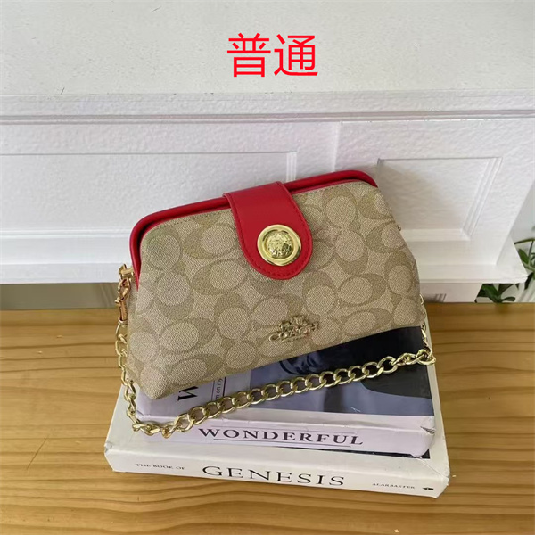 Coach small bag-1049