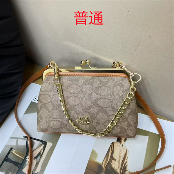 Coach small bag-1053