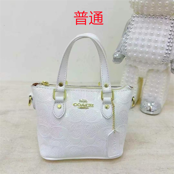 Coach small bag-1059