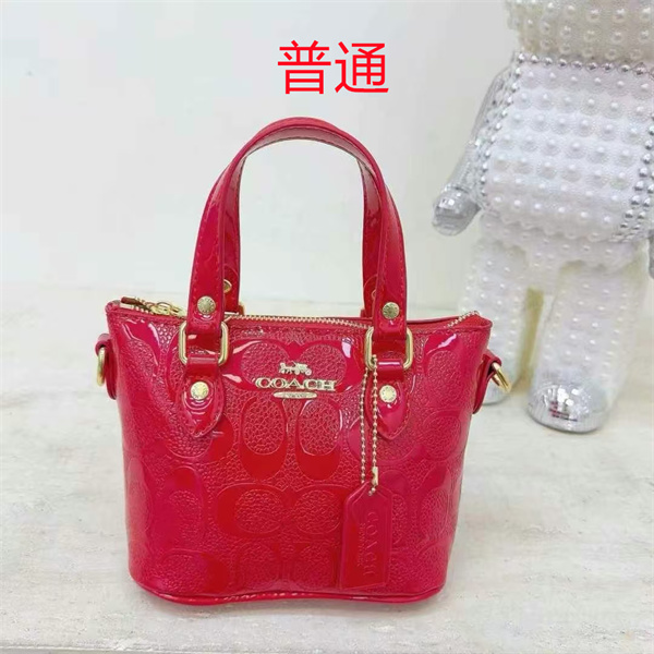 Coach small bag-1065