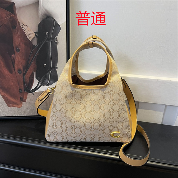 Coach small bag-1085