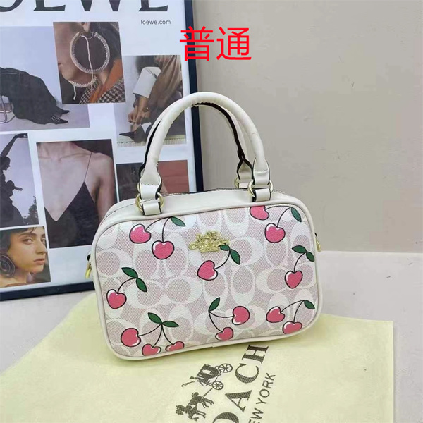 Coach small bag-1090