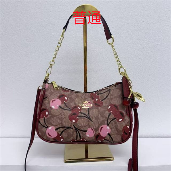 Coach small bag-1132