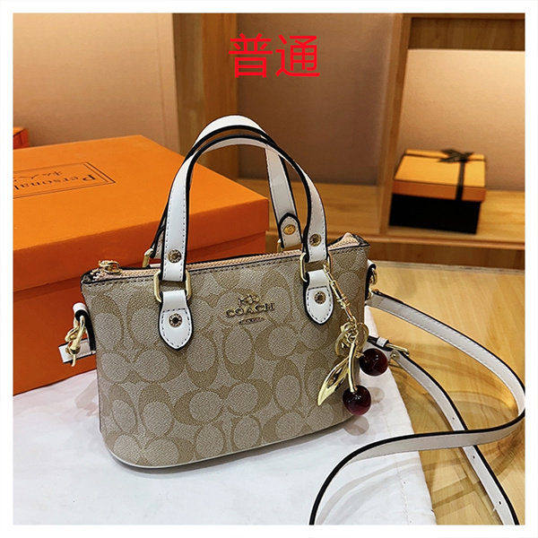 Coach small bag-1147
