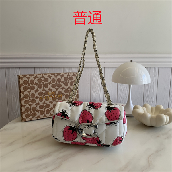 Coach small bag-1166