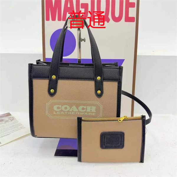 Coach small bag-1254