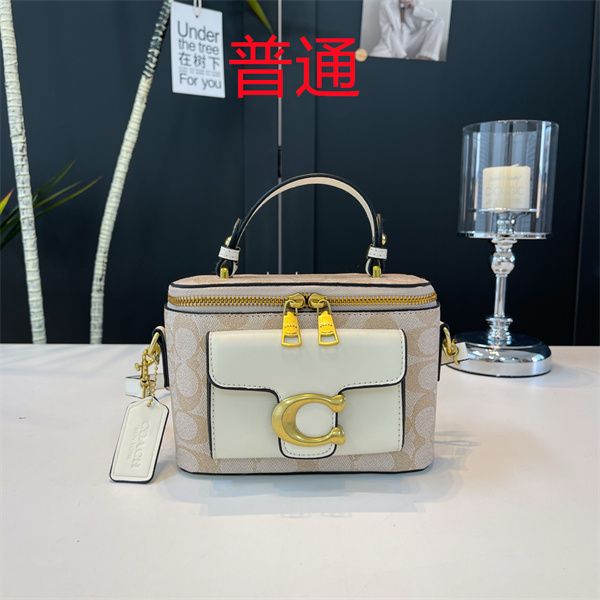 Coach small bag-1299