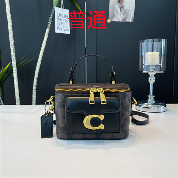Coach small bag-1301