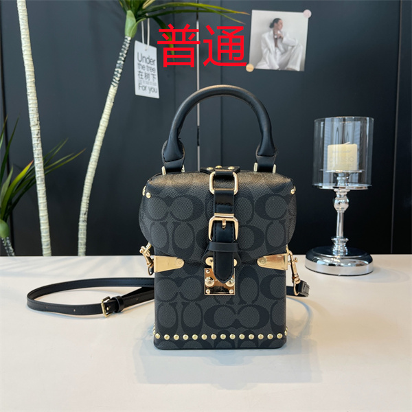 Coach small bag-1304