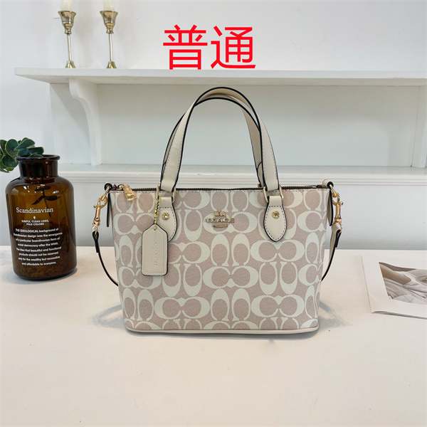 Coach small bag-1373