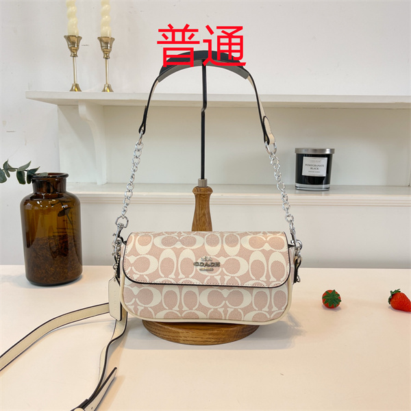 Coach small bag-1393