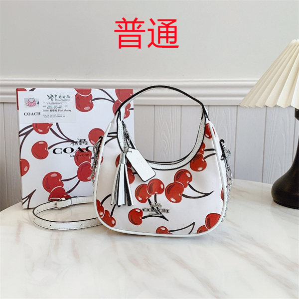 Coach small bag-1437