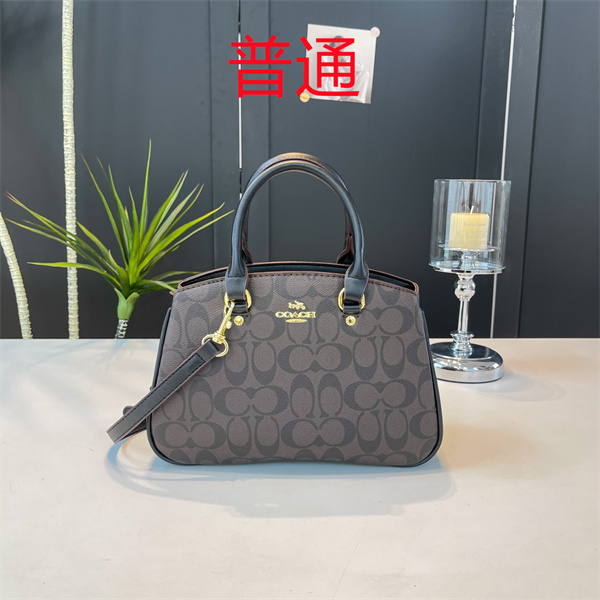 Coach small bag-1481